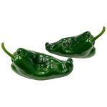 Poblano Peppers – 5 lbs
