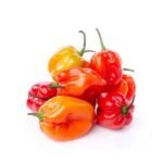 Ajicito Peppers – 5 lb bag