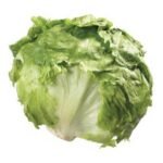 Wrapped Cello Lettuce – 24 ct