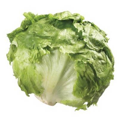 Wrapped Cello Lettuce – 24 ct