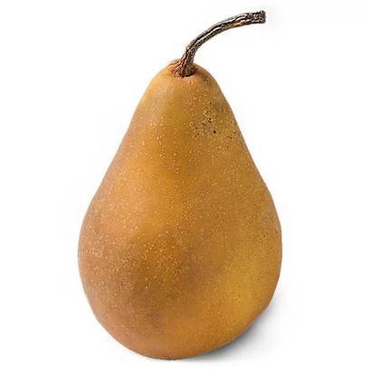 Bosc Pears – Tray pack 80/90 ct – #1