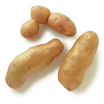 Fingerling Potatoes