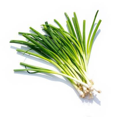 Iceless Green Onions- 4 lb