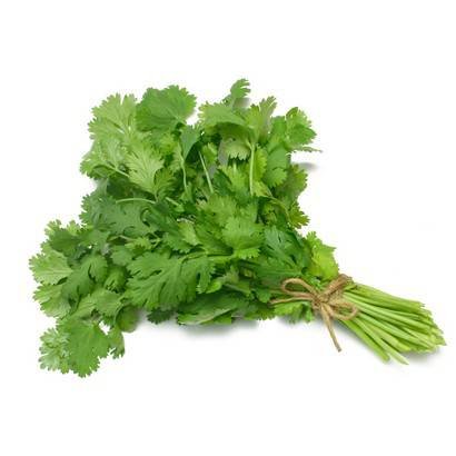 Cilantro, Bagged