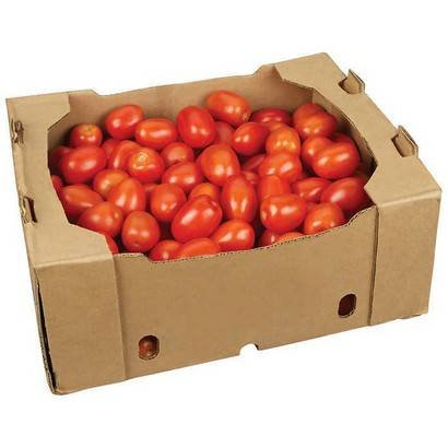Extra Large Plum Tomatoes – 25 lbs