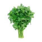 Cilantro- 60 ct – 28 lb