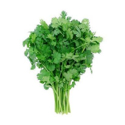 Cilantro- 60 ct – 28 lb
