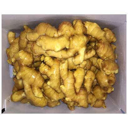 Fresh Ginger – 30 lbs