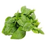 Basil Herb – 1 lb