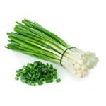 Iced Green Onions (Scallions) – 48 ct