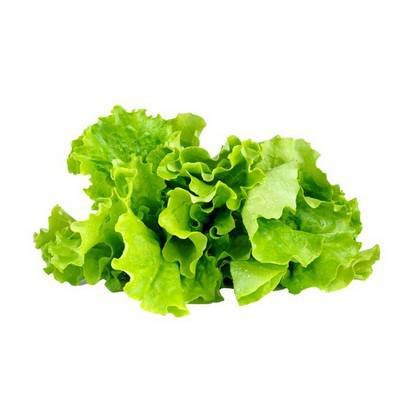 Green Leaf Lettuce – 24 ct