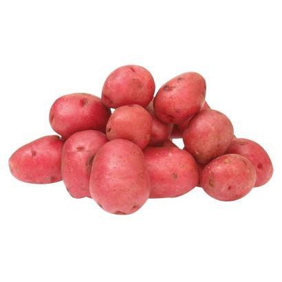 Red A potato – 50 lb bag