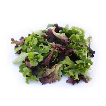 Mesclun Mix – 3 Lb