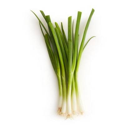Green Onions, Rootless & Iceless – 4 lbs