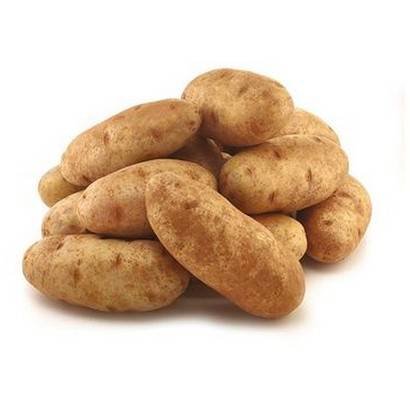 Russet Potato – 50 lb Crtn, 100 cnt, US #1