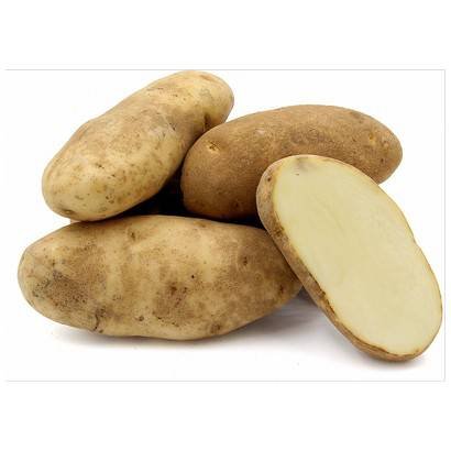 Russet Potato – 50 lb Crtn, 90 cnt, US #1