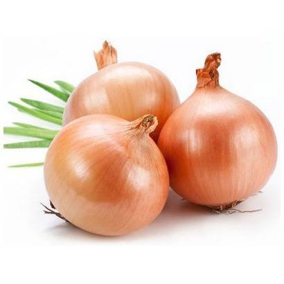 Yellow Onion – 10 lb bag