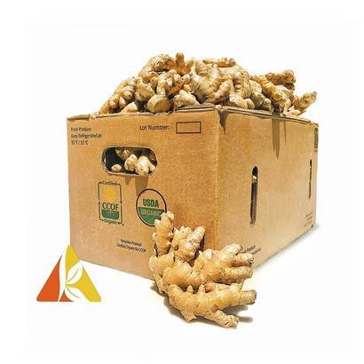 Fresh Ginger – 4 lbs