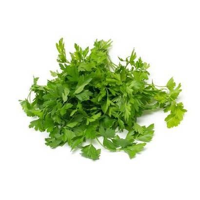 Italian Parsley – 24 Ct