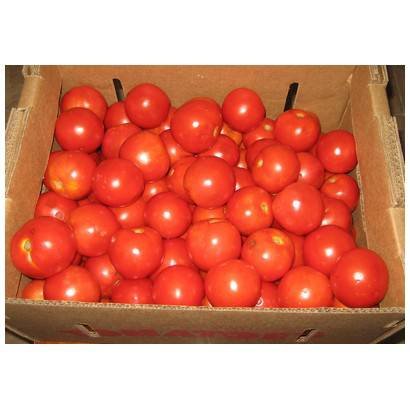 Plum Tomato – 5 lbs