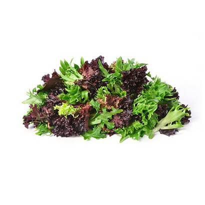 Romaine Lettuce Heritage Blend – 5 lbs