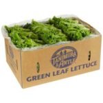 Green Leaf Lettuce – 4 ct