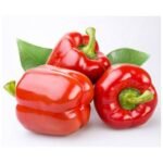 Fancy Red Peppers – 15 lbs