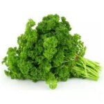 Curly Parsley – 24 Ct