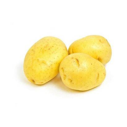 Yukon Gold Potatoes, A – 50 lbs