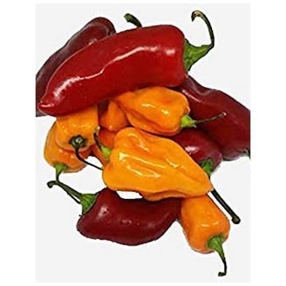 HABANERO PEPPER – 2LBS