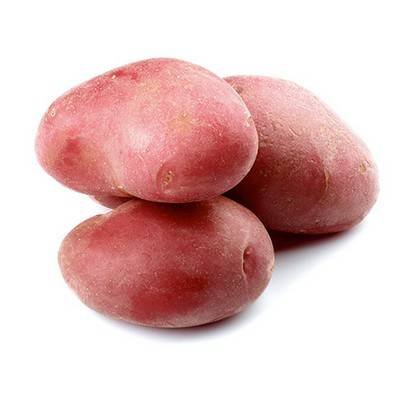 Red A #1 potato – 10 lb bag