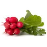 Radish – 6 oz