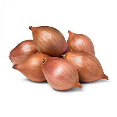 Shallots – 5 lbs