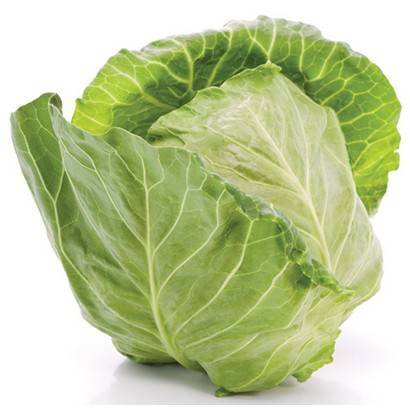 Diced Cabbage – 5 lbs