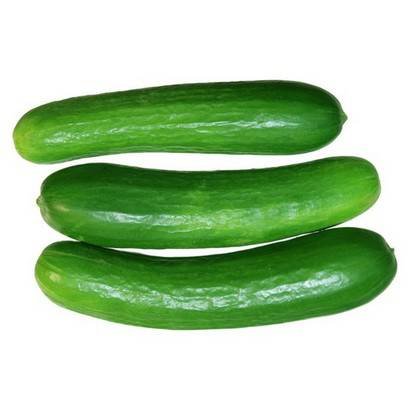 Persian Cucumbers – 2 lbs
