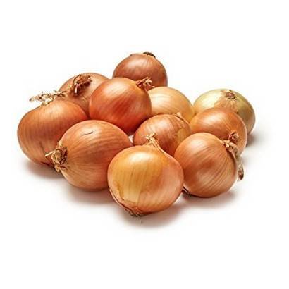 YELLOW ONIONS – 16/3 LBS
