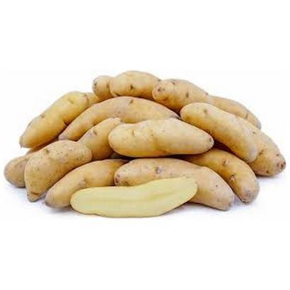 Mixed Fingerling Potatoes – 50 lbs