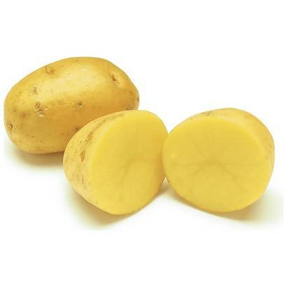 PROD POTATO YUKON  B SIZE