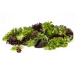 Nordic Blend – 3 Lb