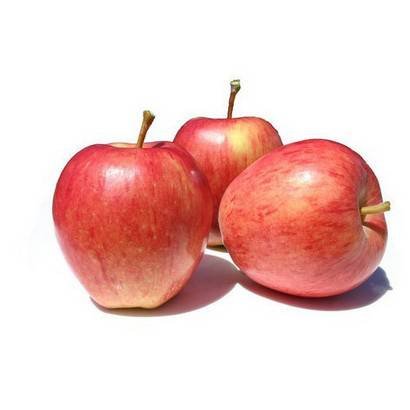 Gala Apple – 8/5 Lb